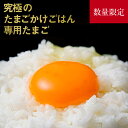 【ふるさと納税】すぐ食べられる!卵かけご飯セット（土佐ジローの卵12個×宗田節20g）高級TKG 鰹節 ブランドたまご タマゴ【R00762】