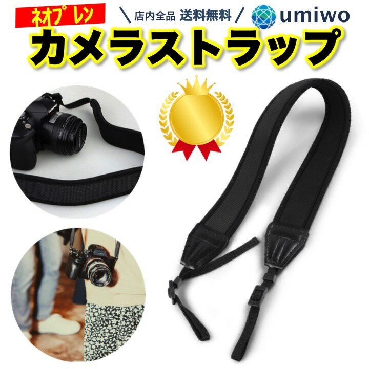 楽天1位【高評価レビュー4.6点】カ