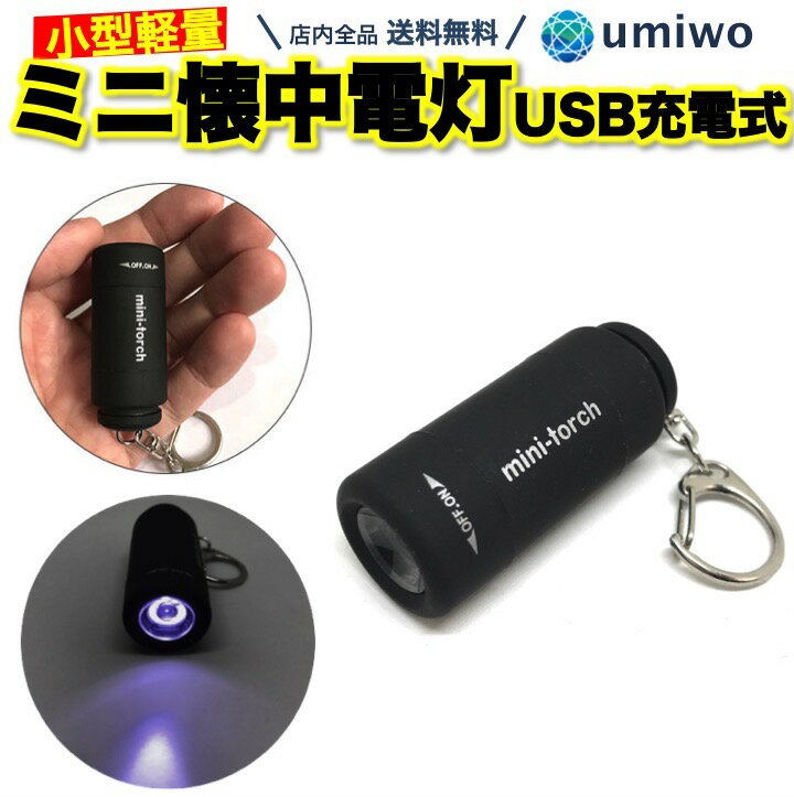 送料無料【高評価レビュー4.5点】ミニ 懐中電灯 USB充電式 黒 ライトキーホルダー ハンディライト 小型 携帯 コンパクト 防犯 防災 子供 ペット 夜間 散歩 車 玄関 鍵 カギ穴 足元 LEDライト ミニ懐中電灯 キーホルダー ライト ポケット 軽量 シンプル