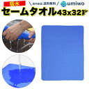 送料無料【高評価レビュー4.4点】セームタオル 中サイズ 青 1枚 43x32cm 繰り返し 使える スイムタオル 汗 水滴 速乾 吸収 背中 耐久性 水泳 スイミング プール ジム 食器 アウトドア お風呂 スポーツ 洗車 セーム タオル 吸水タオル シンプル 使いやすい コンパクト