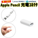 【送料無料】Apple Pencil 充電コネクタ 第1世代 Lightningアダプタ メス メス アップルペンシル 充電 変換 ライトニング 交換 互換 代替 シンプル 充電 コネクタ 変換 アダプタ Lightning 第一世代 アップル ペンシル 軽量 コンパクト