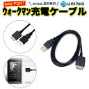 【送料無料】ウォークマン 充電ケーブル WM-PORT 長さ1.2m WALKMAN NWZ-845 など USB充電 データ通信 ウォークマンケーブル ソニー SONY USB-A 互換 シンプル 交換 消耗 予備 パソコン WMポート ウォークマン ケーブル 充電 ケーブル USB ケーブル PC パソコン