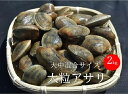 北海道産 ジャンボアサリ 大中混合サイズ 2kg あさり 酒蒸し 贈答用 ギフト お中元 お歳暮