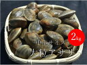 北海道産 ジャンボアサリ 中小混合サイズ 2kg あさり 酒蒸し 贈答用 ギフト お中元 お歳暮