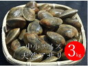 北海道産 ジャンボアサリ 中小混合サイズ 3kg あさり 酒蒸し 贈答用 ギフト お中元 お歳暮