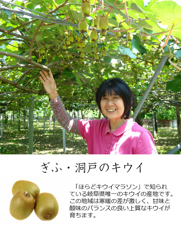 �ڥɥ饤�ե롼�� ������ 30g�� ���츩���ɥ饤�ե롼�� �����夨�꡼ ��ǻ���������ե����� ���츩 ̵ź�� ̵�忧 �� ����� ̵ź�ä���� �ɤ餤�դ롼�� �Ǻऽ�Τޤ� ���襤������� ������ kiwi dry �ɥ饤