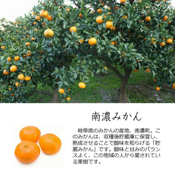 かじゅえりー南濃みかん20g 【岐阜県産ドライフルーツ 美濃やまがた元気ファーム 】|ドライみかん 無添加 無着色 国産 おやつ どらいふるーつ 素材そのまま かわいいおやつ みかん ミカン 蜜柑 低温乾燥 dry ドライ 手作り プチギフト ご褒美 地産地消