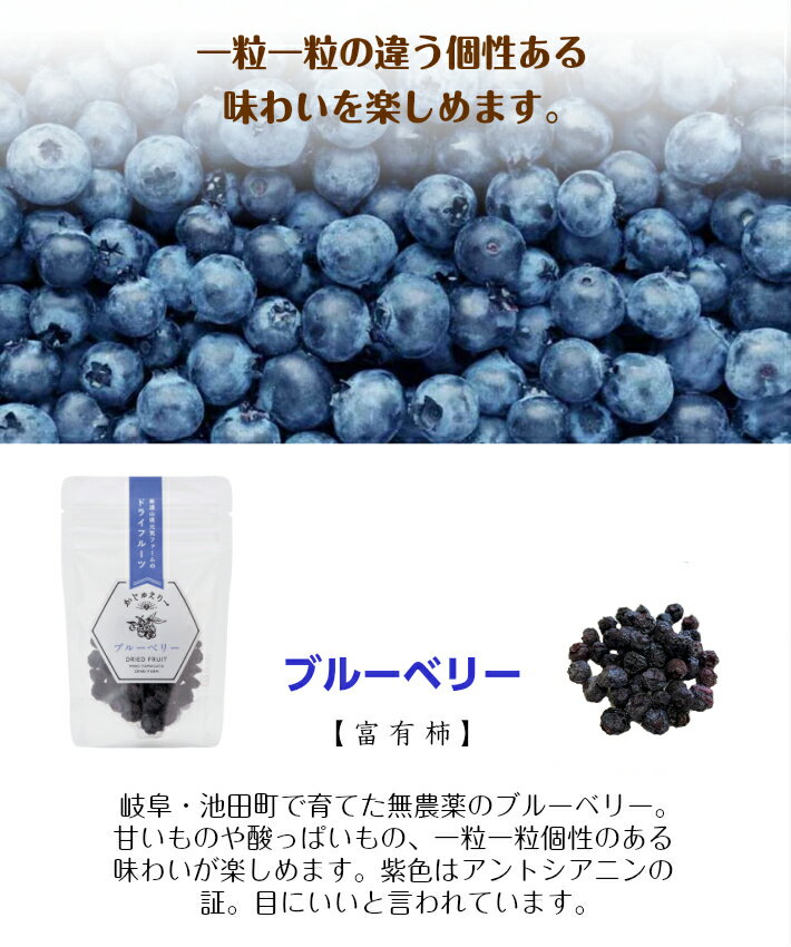 �ڥɥ饤�ե롼�� �֥롼�٥꡼ 16g�۴��츩���ɥ饤�ե롼�� �����夨�꡼ ǻ���������ե����� ���츩 ̵ź�� ̵�忧 �� ����� ̵ź�ä���� �ɤ餤�դ롼�� �Ǻऽ�Τޤ� ���襤������� �֥롼�٥꡼ dry �ɥ饤 ������ �ץ����ե� �ۥ磻�ȥǡ� �����