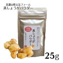 【蒸しょうが パウダー 25g】国産 岐阜県産 美濃山県元気ファーム｜ショウガオール 無添加 無着色 粉末 乾燥野菜 ショウガ 生姜 ジンジャー 時短レシピ 簡単 冷え性 無農薬 ポカポカ 冷え性対策 冬 お取寄せグルメ【代引き不可】【メール便】アイディアレシピ 紅茶