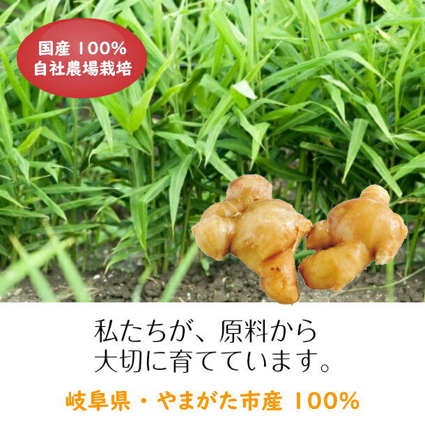 �ھ����礦�� �ѥ����� 50g��25g��2�ޡˡۡڥ᡼���ءۡ�������Բġ۹� ���츩�� ��ǻ��ޤ��������ե�����å��祦��������̵ź�� ̵�忧 ʴ�� ������� ���祦�� ��ժ ���󥸥㡼 ��û�쥷�� ��ñ �䤨�� ̵���� �ݥ��ݥ� �䤨���к� �� ����󤻥���� ����