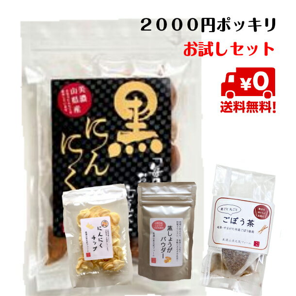 【送料無料】【 お試し4点セット 黒にんにく100g にんにくチップ30g しょうがパウダー25g ごぼう茶15g（3g×5袋）】 国産 岐阜県産 無添加 無着色 調味料 素材そのまま 黒ニンニク 健康食品 トライアル 自然食品 ポッキリ 2000円【メール便・代引き不可・時間指定不可】