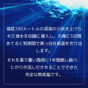 連雲 水晶塩 100g ミネラル 豊富 塩 ケイ素 クリスタルソルト 健康食品 食塩 熟成 高級 熟成塩 健康塩 高級塩 高級調味料 深海 ミネラル シリカ ケイ素を多く含む食品 食べ物 甘み 多用途 水晶 健康 天然塩 自然塩 ミネラル豊富塩 美味しい 【 3,980円以上 送料無料 】 3