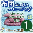 【月間優良ショップ】布団 クリーニング 1枚 大きいサイズ 分厚い セミダブル ダブル 丸洗い 生地の汚れ シミ 花粉 ダニ ホコリ スッキリ 防ダニ おねしょ おもらし 往復送料無料