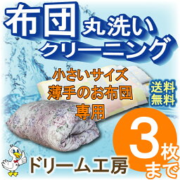 【月間優良ショップ】布団 クリーニング 3枚 小さいサイズ 薄手 肌掛 ベビー 丸洗い 生地の汚れ シミ 花粉 ダニ ホコリ スッキリ 防ダニ おねしょ おもらし 往復送料無料