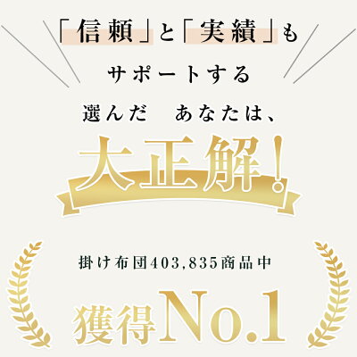 \先着10名様12%OFFクーポン/ 【9万枚爆売れ】 掛け布団 羽毛布団のように 暖かい 布団 掛け布団 シングル 掛け布団 冬 掛ふとん 洗える布団 掛け布団 冬用 シンサレート 洗える 掛け布団 ダブル セミダブル 洗える掛け布団 かけふとん 掛布団 クイーン キング NENEKO - Image 3