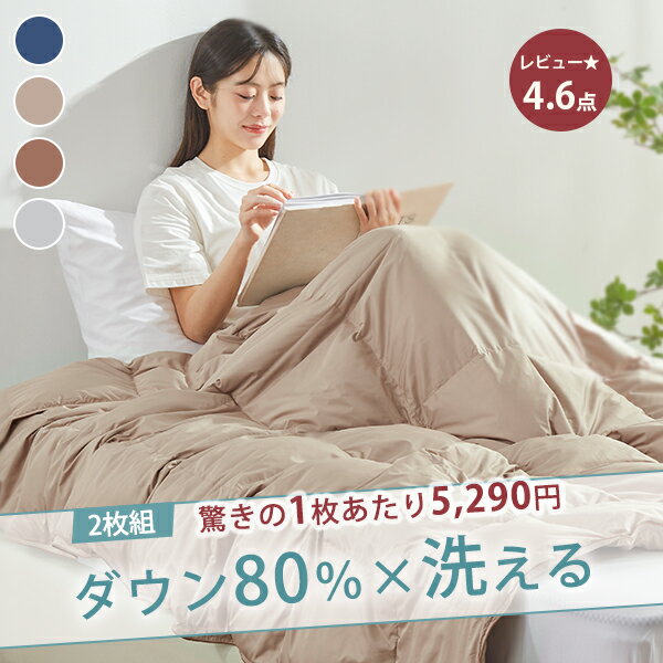 2枚組！1枚あたり5290円~羽毛布団 夏用 ダウン80 ~85 ダウンケット シングル 羽毛肌掛け布団 洗えるダウンケット 肌掛け羽毛布団 夏用羽毛布団 シングル 羽毛 肌掛け布団 シングル ダウンケット 2枚組 夏布団 肌布団 夏用布団 薄い羽毛布団 夏用掛け布団