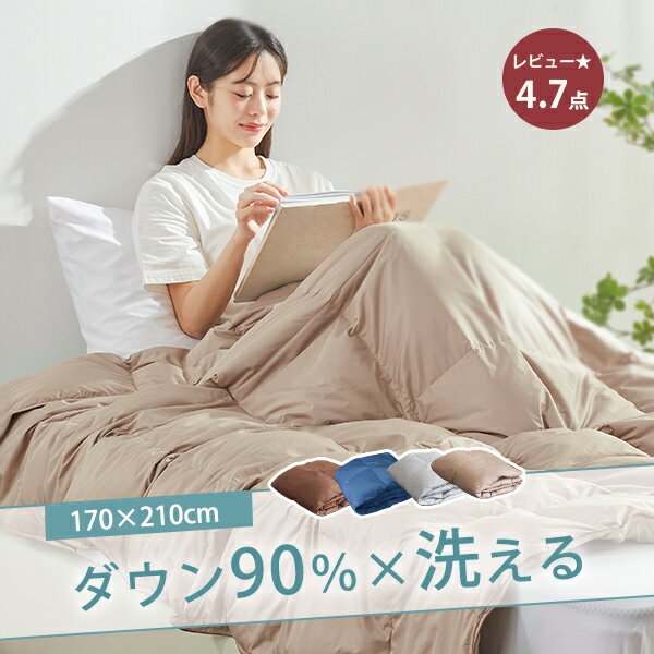 半額！ダウンケット セミダブル 肌掛け布団 セミダブル ダウン90% 夏布団 夏掛け布団 肌布団 羽毛肌掛け布団 羽毛布団 夏用 掛け布団 夏用 170 210 掛け布団 羽毛 夏用羽毛布団 洗えるダウンケット 夏ふとん 肌ふとん 肌掛け羽毛布団 かけ布団 肌掛け 夏ケット 薄掛け布団のサムネイル