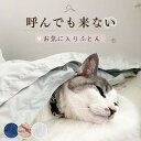 5/5迄44%OFFクーポン！猫 布団 犬用布