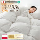 \20時より!50%割引クーポン/ 羽毛布団 シングル 日本製 ポーランド産 マザーダウン95% 洗える 羽毛掛け布団 シングル 羽布団 掛け布団 シングル 冬用 羽毛 ダウン 暖かい掛け布団 羽毛掛布団 冬用ふとん 冬用布団 冬布団 掛布団 肌掛け布団 冬用 NENEKO