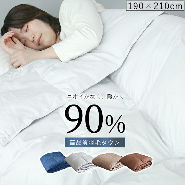 SS半額★ダウンケット ダブル ダウン90% 夏掛け羽毛布団 羽毛布団 夏用 ダブル 肌掛け羽毛布団 夏布団 羽毛肌掛け布団 夏用羽毛布団 肌布団 ダブル 肌掛け布団 夏用布団 夏用 掛け布団 洗えるダウンケット 夏ケット 肌掛け 羽毛布団 薄い かけ布団 羽毛 肌掛けのサムネイル