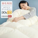 羽毛布団 セミダブル ホワイトグースダウン90% 抗菌消臭 掛け布団 冬 おすすめ 羽毛掛け布団 羽毛ふとん 掛け布団 セミダブル 羽毛布団 グース 羽毛ぶとん 冬用 羽毛布団 かけ布団 掛布団 掛けぶとん 掛ふとん 羽毛掛布団 羽布団
