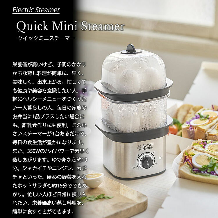 Russell Hobbs ラッセルホブス Quick Mini Steamer クイックミニスチーマー 3000JP...
