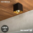 【楽天市場ランキング1位】 HERMOSA ハモサ BILLY CEILING LAMP ビリーシーリングランプ CM-011BK (白熱球付属) シーリングライト 天井直付照明 玄関照明 階段照明 廊下照明 トイレ照明 天井照明 LED対応 E26 60W×1