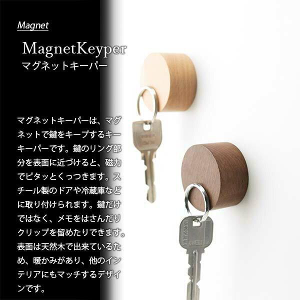 tidy ティディ Magnet Keyper マグネットキーパー 磁石 冷蔵庫 キッチン雑貨 キッ...
