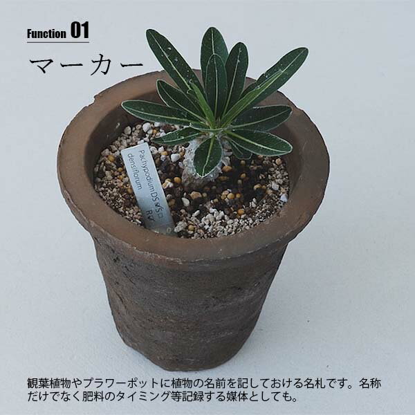 【受注生産：納期目安約1週間程度】SIKAKU シカク PLANTS MARKER S プランツマーカ...