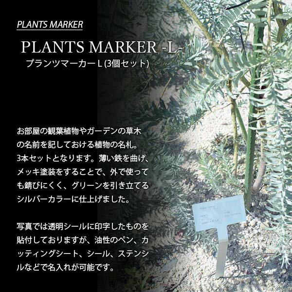 【受注生産：納期目安約1週間程度】 SIKAKU シカク PLANTS MARKER L プランツマー...