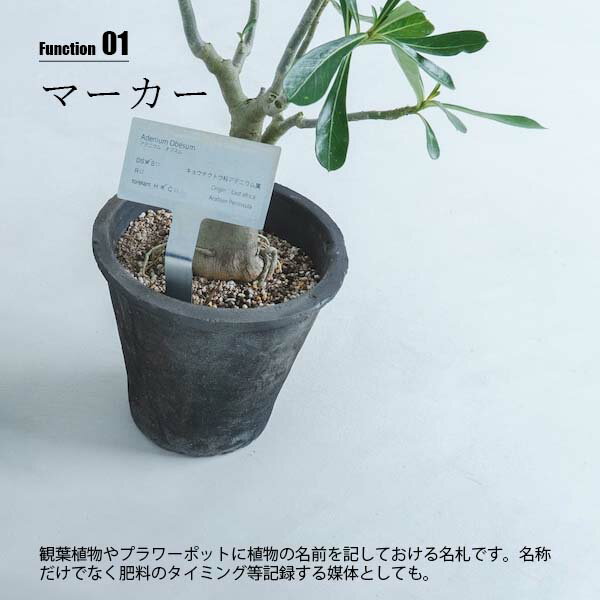 【受注生産：納期目安約1週間程度】 SIKAKU シカク PLANTS MARKER L プランツマー...