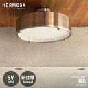 HERMOSA ハモサ NEIL CEILING LAMP (SV) ニールシーリングランプ (シルバー) CM-009 シーリングランプ シーリングライト LED内蔵 リモコン付属 デザイン照明 インダストリアル