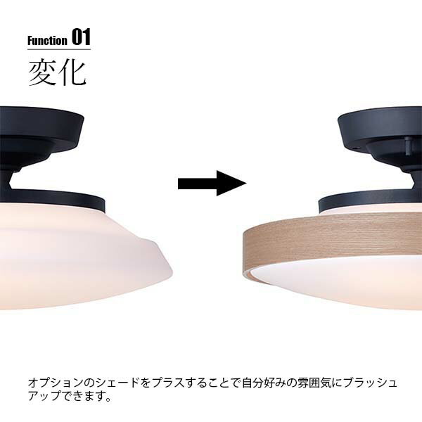 ARTWORKSTUDIO アートワークスタジオ Graph-plywood shade グラフプライウッドシェ...