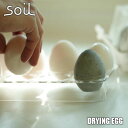 【楽天市場ランキング1位獲得】soil ソイル DRYING EGG「ドライングエッグ」JIS-K245 4個セット 珪藻土 吸湿 除湿 調湿 消臭 脱臭 冷蔵庫 乾燥材