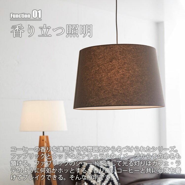 ARTWORKSTUDIO アートワークスタジオ Espresso-shallow pendant エスプレッソシャローペンダント(LED球付属) AW-0583E 〜60W ペンダントランプ ペンダントライト ペンダント照明 ダイニングランプ 吊下照明 天井照明 3