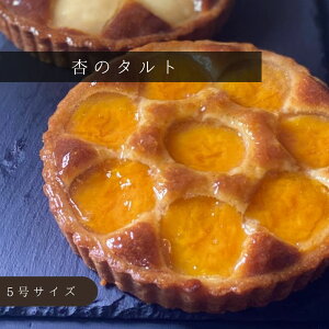 内祝い 誕生日 母の日 お菓子 杏のタルト 焼き菓子 スイーツ あんず タルト 洋菓子 ハレの日 返礼品 16センチサイズ ご褒美 ギフト箱 送料込み お取り寄せ タルトケーキ のし対応 冷蔵 熨斗