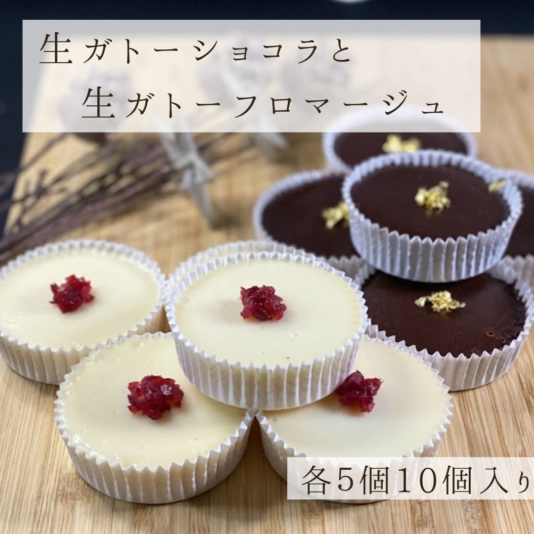 チョコレートケーキ 2種類　10個入り 生ガトーショコラ 生ガトーフロマージュ 個包装 詰め合わせ ガトーショコラ チーズケーキ グルテンフリー ホワイトデー　内祝い 誕生日 お菓子 ギフト ケーキ