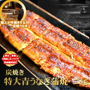 炭焼うな富士】炭焼きうなぎ長焼2