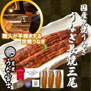 【国産青うなぎ】炭焼きうなぎ長焼