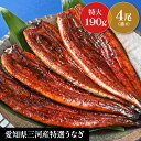 【国産特選 蒲焼き鰻 特大 4尾 セット 】計760g お中元 土用の丑 お盆 贈り物 誕生日 お祝 内祝 お返し ギフト 三河産鰻 敬老の日