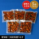 ヒラマサ 4-6kgサイズ 下処理済み 刺身 煮魚 焼魚 干物 送料無料 北海道・沖縄・東北は別途送料 宇和海の幸問屋 愛媛百貨店