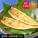 【国産特選 うなぎ 白焼き 2尾 セット】 お中元 土用の丑 贈り物 誕生日 お祝 内祝 お返し ギフト 三河産鰻 プレゼント 敬老の日