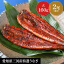 【国産 特選 蒲焼 大鰻2尾 セット 】サイズ大 合計320g お中元 土用の丑 お盆 贈り物 誕生日 お祝 内祝 お返し ギフト 三河産鰻 敬老の日