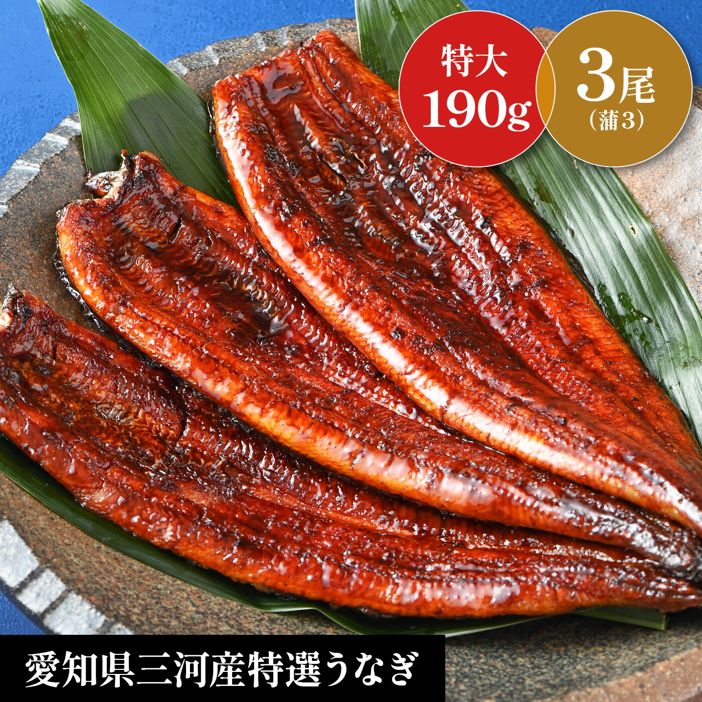 【国産特選 蒲焼き鰻 特大 3尾 セット 】計570g お中元 土用の丑 お盆 贈り物 誕生日 お祝 内祝 お返し ギフト 三河産鰻 敬老の日
