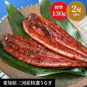 【国産特選うなぎ 蒲焼き 2尾 セット】 お中元 土用の丑 お盆 贈り物 誕生日 お祝 内祝 お返し ギフト 三河産鰻 敬老の日