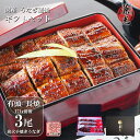 \母の日ギフト 5%OFFクーポン/うなぎ ギフト 国産 三河一色産 炭火手焼き 蒲焼 156g〜185g×3尾 タレ・山椒3袋付 [うなぎの兼光 ギフトBOX...