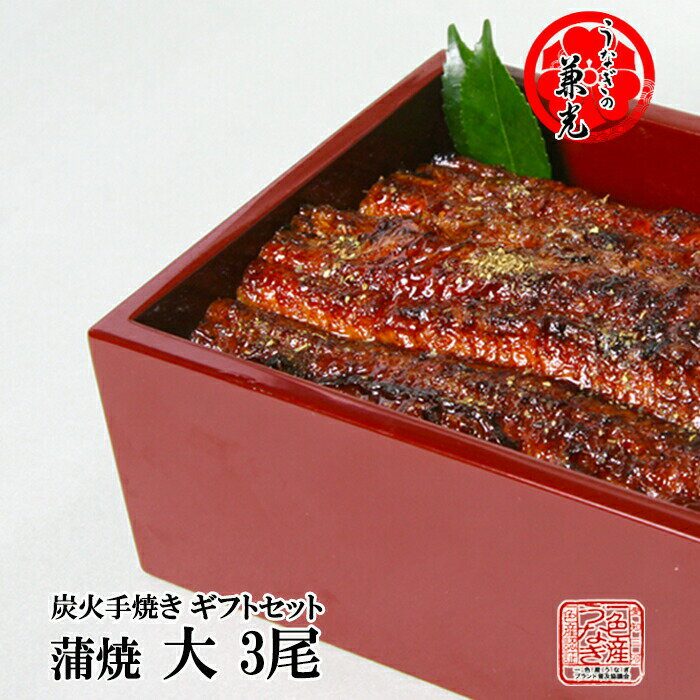 【兼光 ギフト セット】炭火 手焼き 蒲焼き 大サイズ 3尾【愛知県三河一色産】【送料無料】【お取り寄せ 国産 国内産 真空パック ギフト 鰻 炭火焼き ウナギ 炭焼き 熨斗 お中元 お歳暮 母の日 父の日 敬老の日】