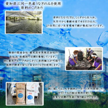 \10月9日 10時から 愛知県物産展 クーポン利用で30%OFF/【三河一色産】兼光 ギフト セット きざみ うなぎ セット (50g×2食)5パック 【送料込み お取り寄せ 国産 国内産 うなぎの兼光 贈答用 熨斗 ( のし )対応 ひつまぶし ウナギ 御中元 御歳暮】
