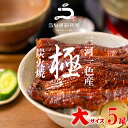 【土用の丑早割!!】【最大10%OFFクーポン配布中!!】うなぎ 長焼き【大(140~150g)】5尾 国産 三河一色産 炭火手焼き 蒲焼 タレ付 お取り寄せ 土用の丑 お中元 お歳暮 母の日 父の日 お祝い プレゼント 個包装 真空パック 蒲焼き