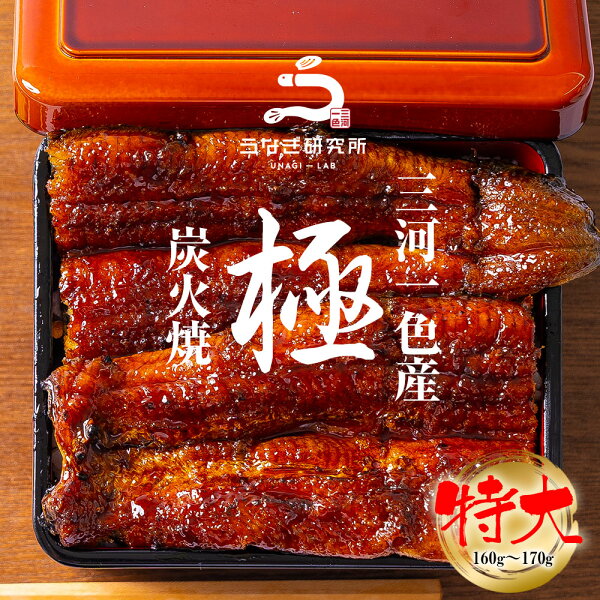 【父の日早割あり】【最大15%OFFクーポン配布中!!】うなぎ 長焼き【特大(160~170g)】 国産 三河一色産 炭火手焼き 蒲焼 タレ付 お取り寄せ 土用の丑 お中元 お歳暮 母の日 父の日 お祝い プレゼント 個包装 真空パック 蒲焼き